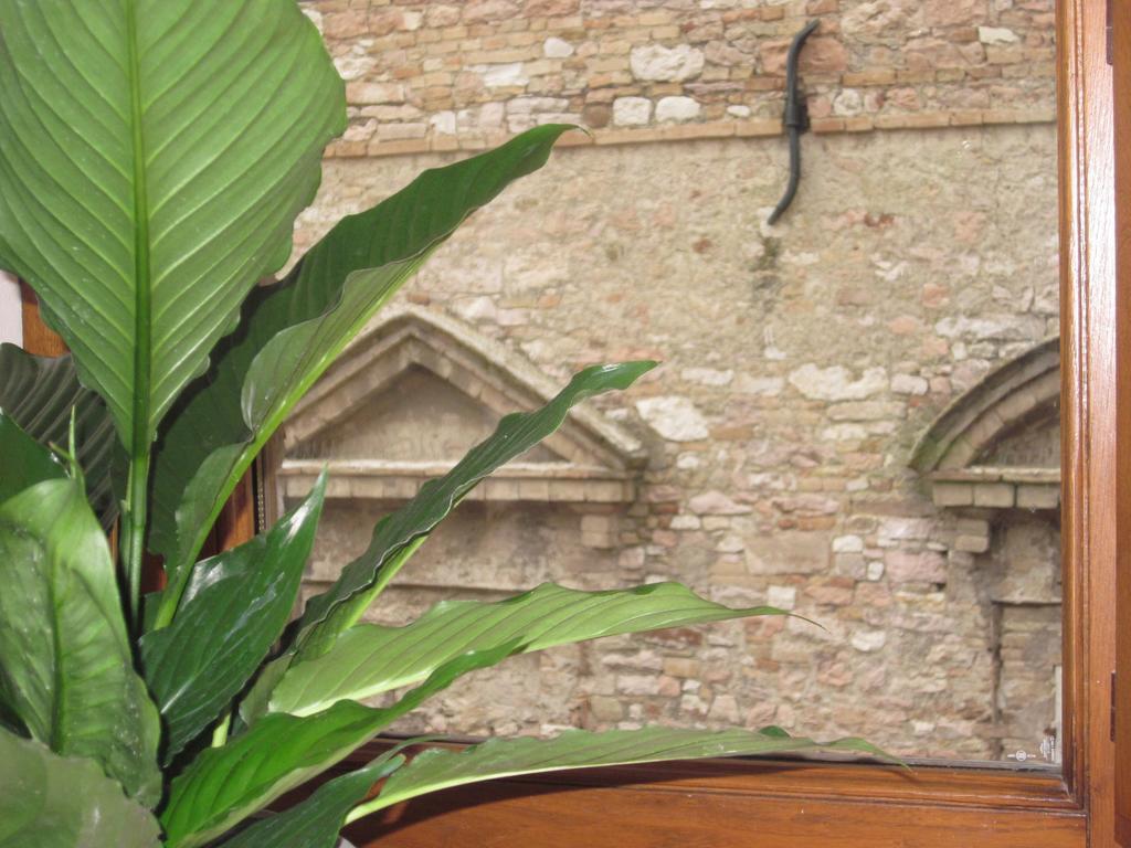 Helios Assisi Hotel Room photo